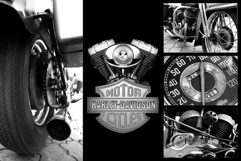 harley-davidson