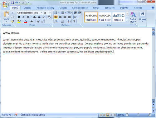 www stránka v programu Word 2007