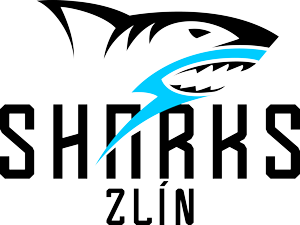 Zlpk logo